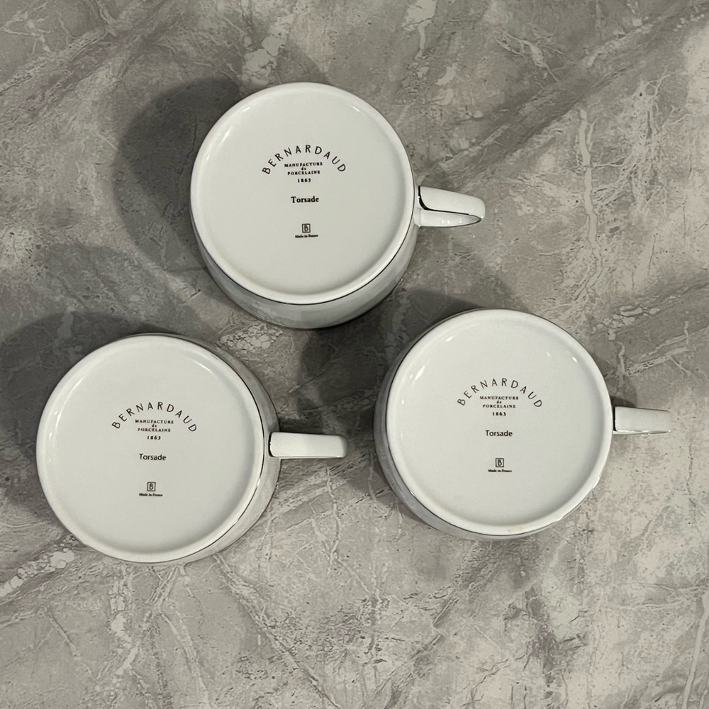 Bernardaud Torsade Platinum Tea Cup & Saucer Set - Picture 2 of 5